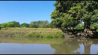 Caño Ciego en Cerro de San Antonio, Magdalena travel