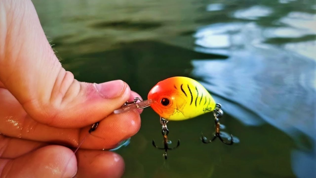 Pecanje Klena Ujka voblerom,i Ribolov na Filex spin leptir