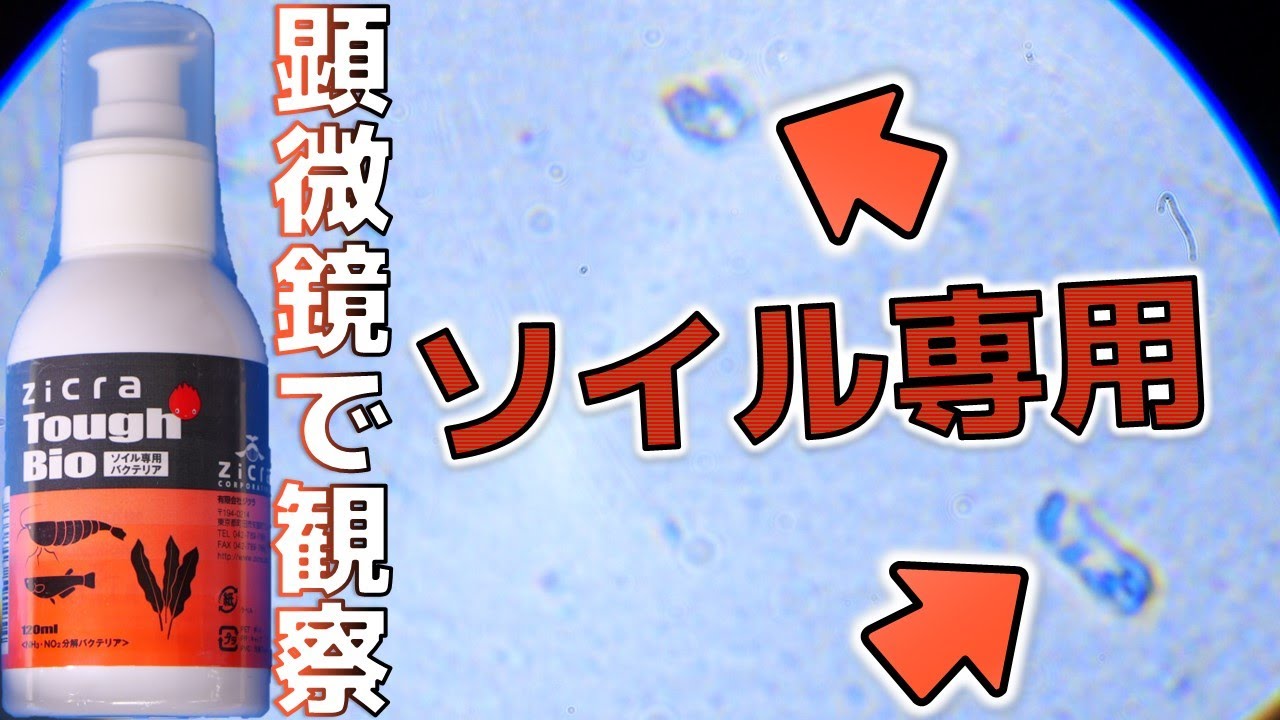 バクテリア】ソイル飼育のエビに特化した硝化細菌濃縮版。半ゼリー状で
