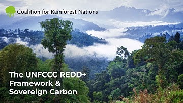 The UNFCCC REDD+  Framework & Sovereign Carbon