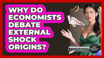 Why Do Economists Debate External Shock Origins? - Macroecon Experts