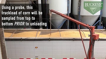 Grain Sampling for Quality & Nutrient Profile Analysis