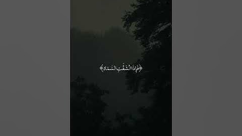 القارئ محمد عبده - سَنَفْرُغُ لَكُمْ أَيُّهَ الثَّقَلَانِ | مقاطع قرآن قصيرة وحالات واتس إسلامية 🌱