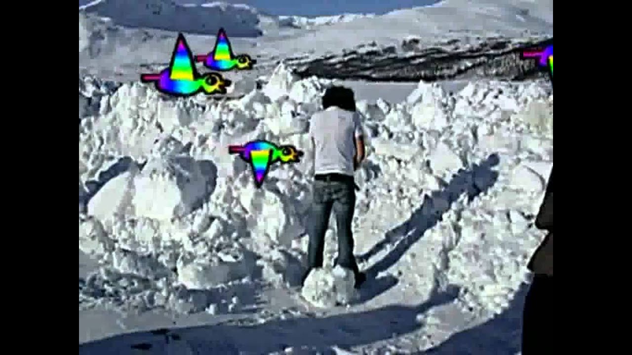 Caesars Paper Tigers (with lyrics) HD YouTube