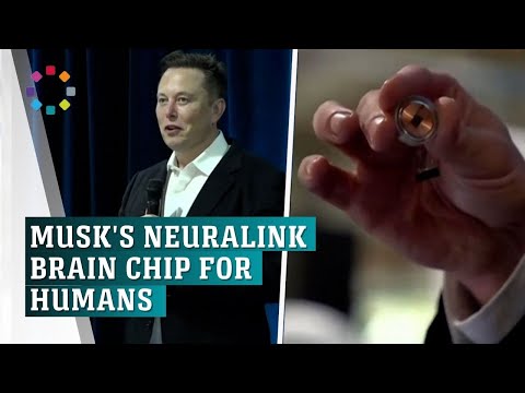 Elon Musk's Neuralink startup makes history with brain chip implant