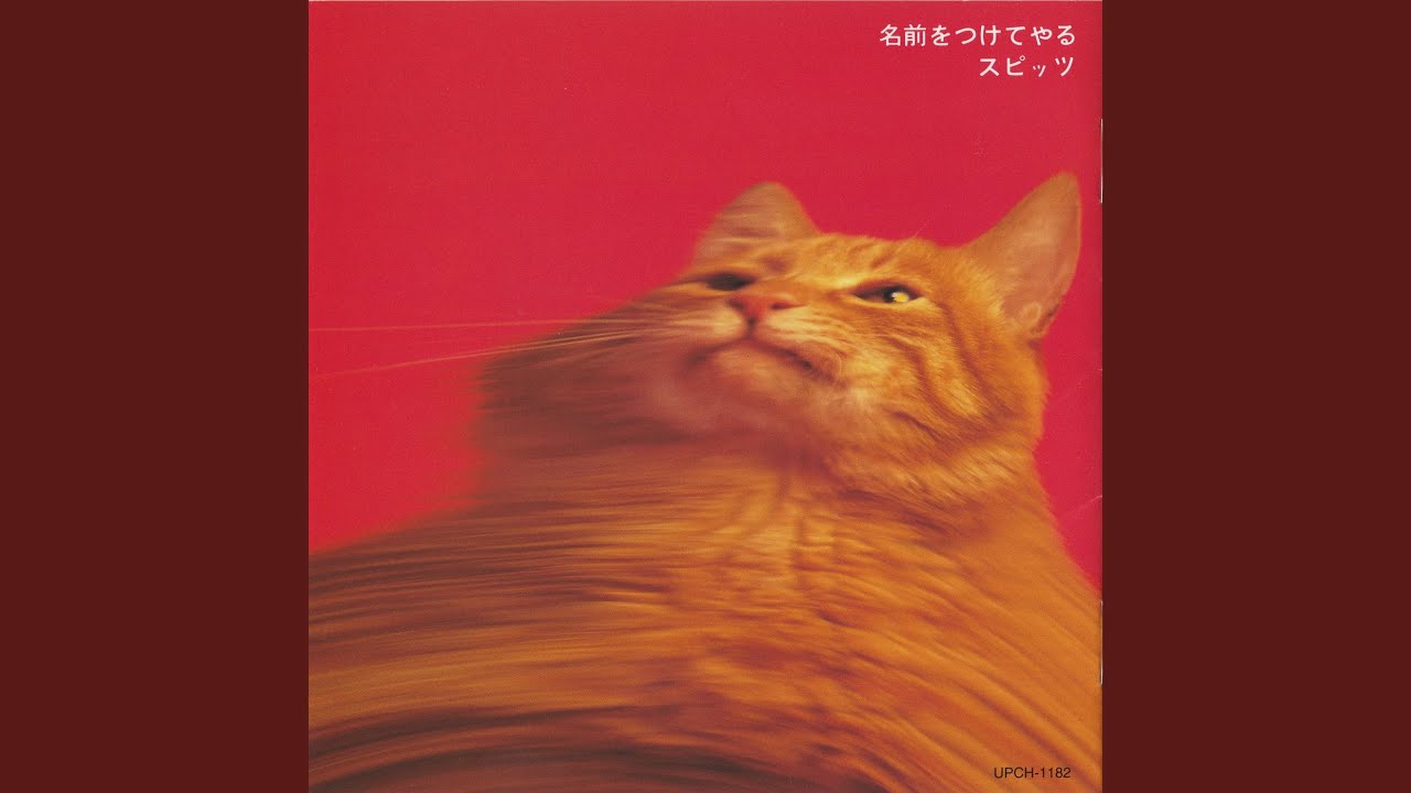 Machiawase - YouTube