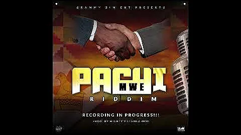 Pachipamwe -Tr Reg #pachipamweriddim prod by Mighty Villain & M.O.D @grammyziment #plus2tv