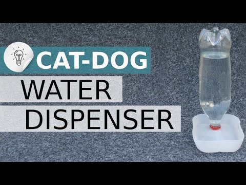 Distributeur d'eau pour chat et chien - Fontaine à eau animaux - DIY - Recycler vos bouteilles