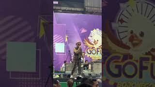 New Pallapa Gofun Bojonegoro 2024