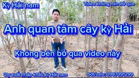 Anh em quan tâm cây kỳ Hải nam không nên bỏ qua video này | Bùi công Khánh