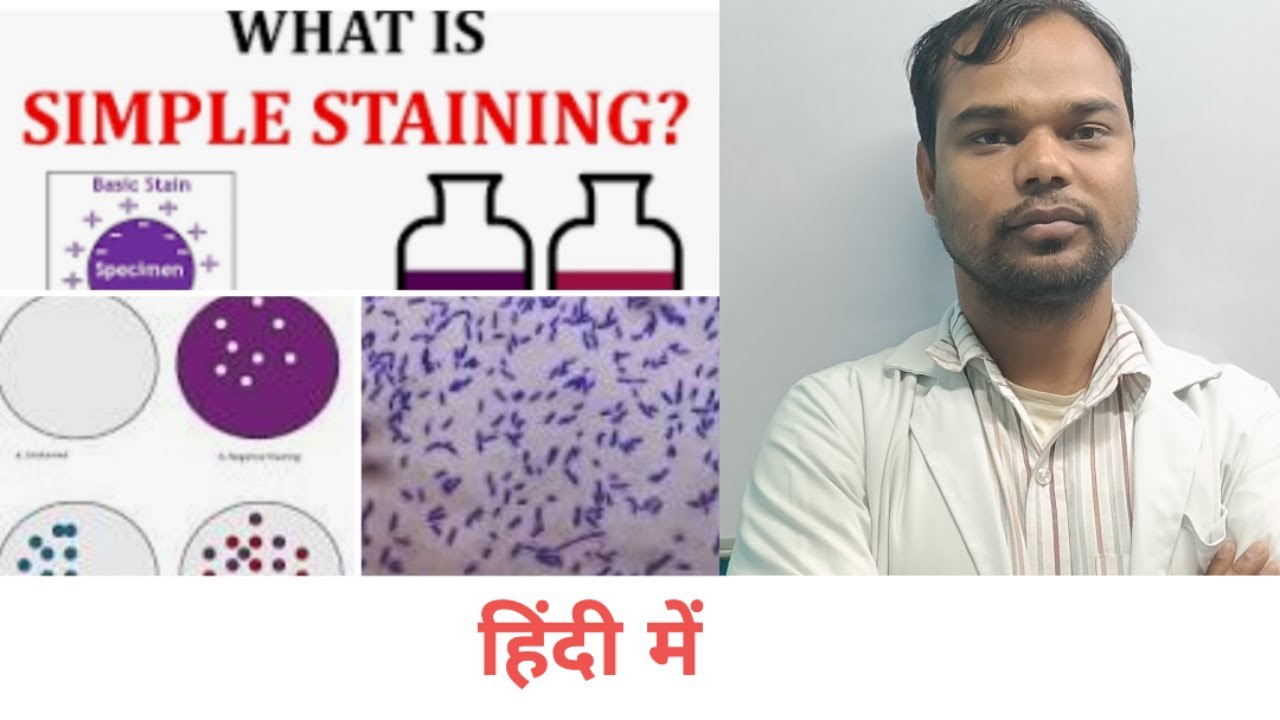 What is simple staining | Definition? easy explanation in hindi - YouTube
