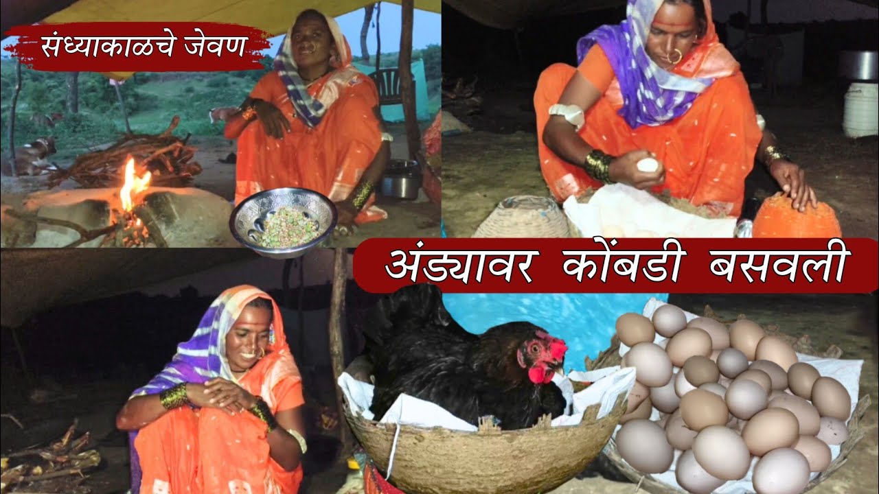 बाणाईने अंड्यावर कोंबडी बसवली, रानातून आल्यावर संध्याकाळी मस्तपैकी जेवण बनवले | banai | sidu hake