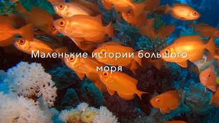 Маленькие истории большого моря/Little stories of the big sea