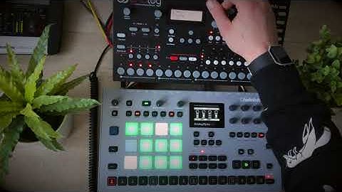 The Fox (Analog 4 & Analog Rytm Mk2)