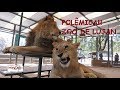 Os animais do Zoo Lujan são dopados? - #vlog51 - O Mundo é Meu Lugar