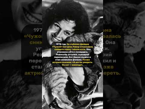 КОШКА ПРОТИВ ЧУЖОГО. #жизнь #люди #время #новости #популярное #мем #кино #актив #актеры