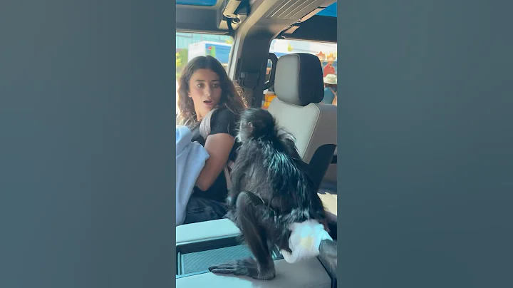 Monkey Prank on Sister😭😂 ​⁠@YoMariah