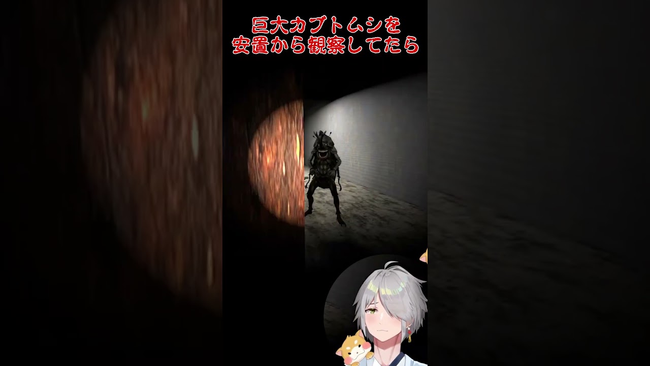 【 カブトムシの森 / 切り抜き 】カブトムシの化け物をまじまじと見てたらしっかりシバかれた神主の息子【Vtuber/斗牙ちゃん】