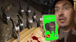 IF OIIA OIIA CAT CALLS AT 3AM RUN! (Short Horror Movie)