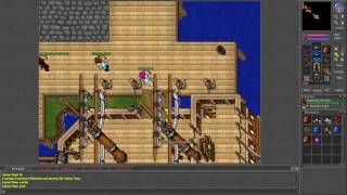 Tibia [7.6] Killing Knight Stallone