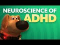 Neuroscience of ADHD