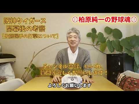 阪神タイガースの現状&佐藤選手の打撃に注目！