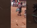 WIMBUMCULTURE Culturalcelebration Bfubfu Nkambe WIMBUMCULTUREANDTRADITION WIMBUMCULTURE Culturalcelebration Bfubfu Nkambe WIMBUMCULTUREANDTRADITION