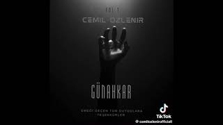 Cemil Özlenir - Günahkâr Resimi