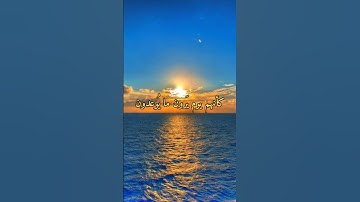 أواخر سورة الأحقاف #اسلام_صبحي #راحة_نفسية #تلاوة_خاشعة