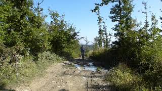 Dal Valico Di Fragno A Signatico