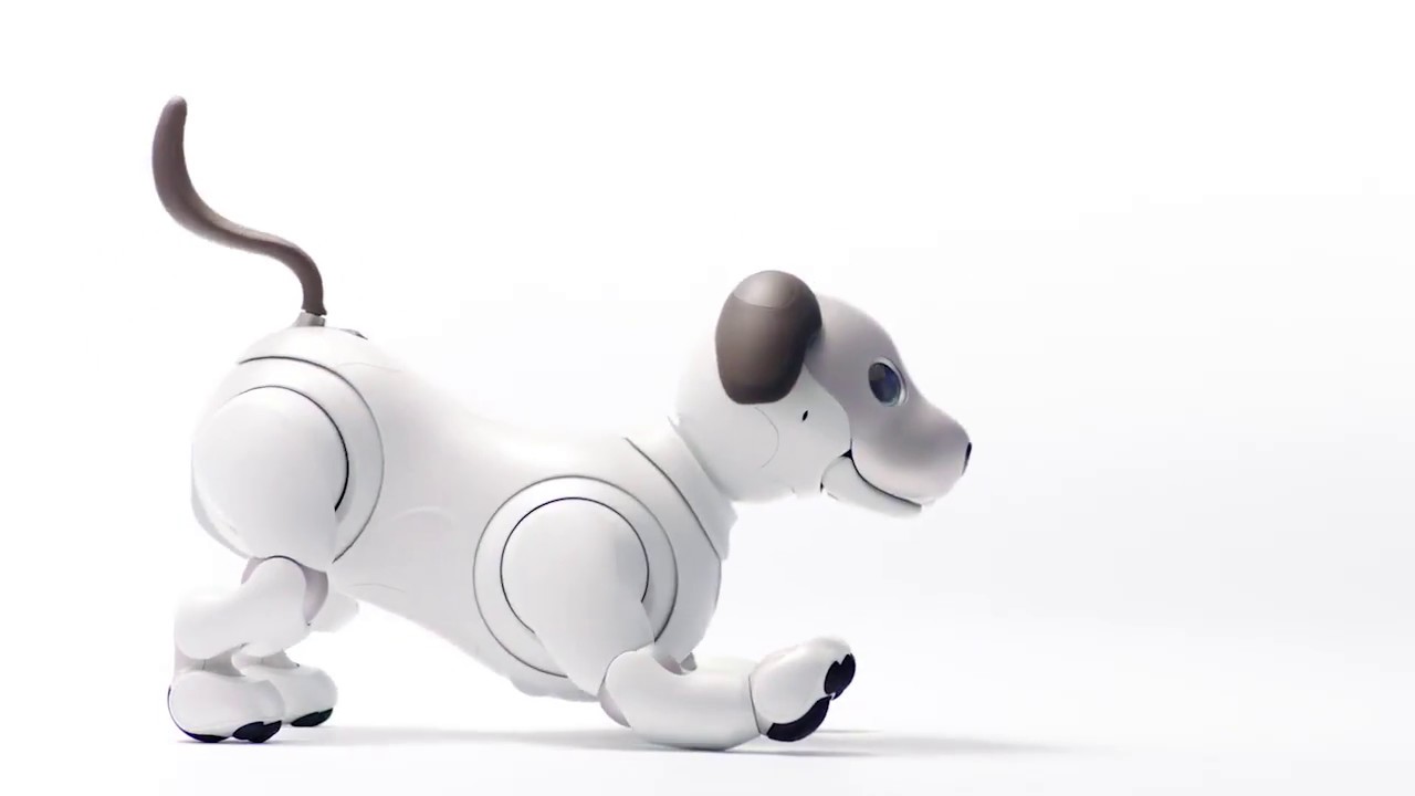 CES 2018] Sony remet sur le tapis son robot-chien Aibo et le