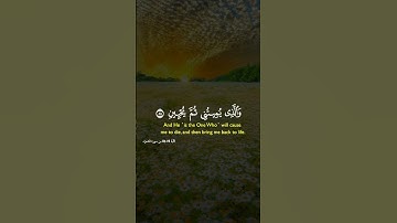 #القرآن_الكريم #المصحف #اكسبلور   القارئ فارس عباد #🎧🎧