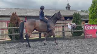Advert ref 299738 video 1