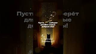 #добройночи #врекомендации #наютубе #shorts #сладкихснов