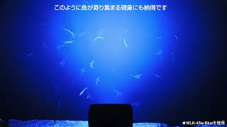 【比較】青色発光LEDチップ搭載ライト［当店完全オリジナル品］と類似品(カバー色付け)の違い！！