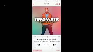 Video thumbnail of "Timomatic Everything is Allowed"