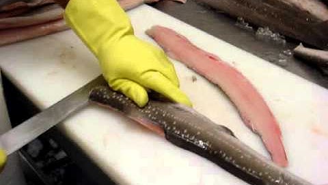 Filleting Rig with a Mashetti - by Dean Grooby Knifetechnz Ltd