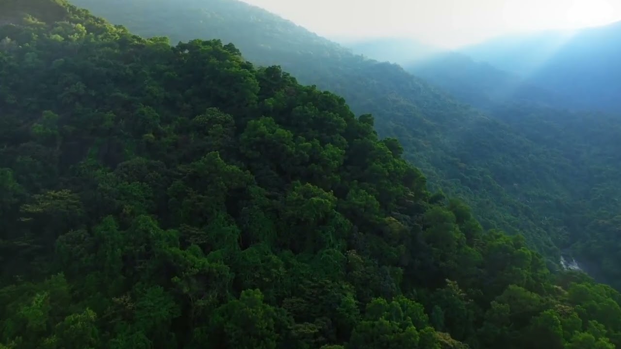 Gökhan birben Göçmen kuşlar tulumlu versyon 2 #tulum#karadeniz #niyaziay#keşfetteyiz #tulumcuniyazi