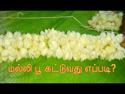 How To String Jasmine Garland Malli Poo Kattuvathu Eppadi In