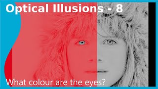 Optical Illusions  Motion binding & Colour constancy