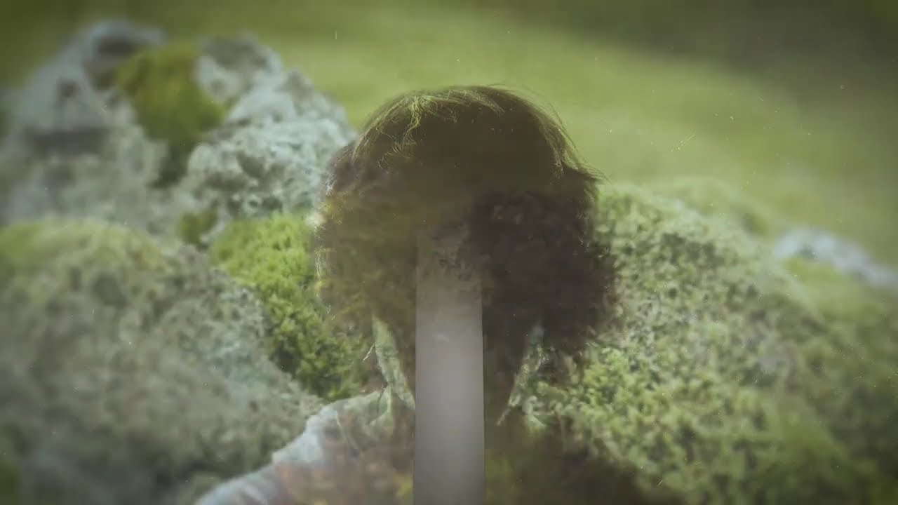 Gemini / Muschio – ラミナムジャパン株式会社