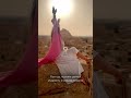 Создаю уникальные индивидуальные туры по местам силы Египта ) телеграм: @egypt_crystal