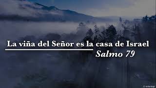 Video thumbnail of "La viña del Señor es la casa de Israel. (Salmo 79)"