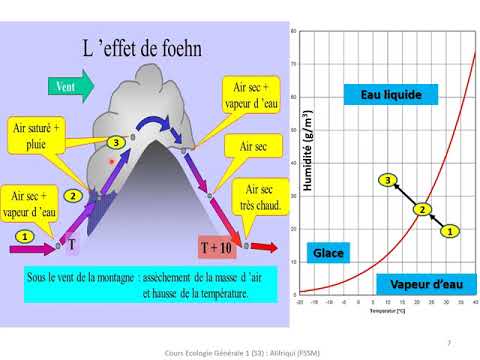 Vidéo: Qu'est-ce que la variation dans les organismes vivants?