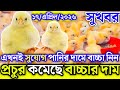 17, April 2026 || ব্রয়লার ও সোনালী বাচ্চার আজকের বাজার দর || মুরগির বাচ্চার পাইকারি বাজার দাম জানুন