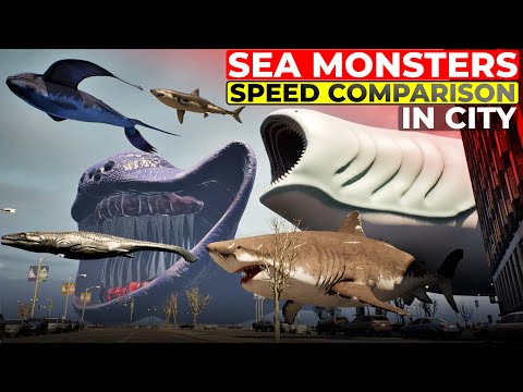 Legendary Sea Monsters Speed Comparison in a City | Bloop vs El Gran Maja | Surreal SPEED Comparison