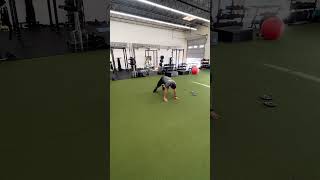 Bear Pose Kick Through