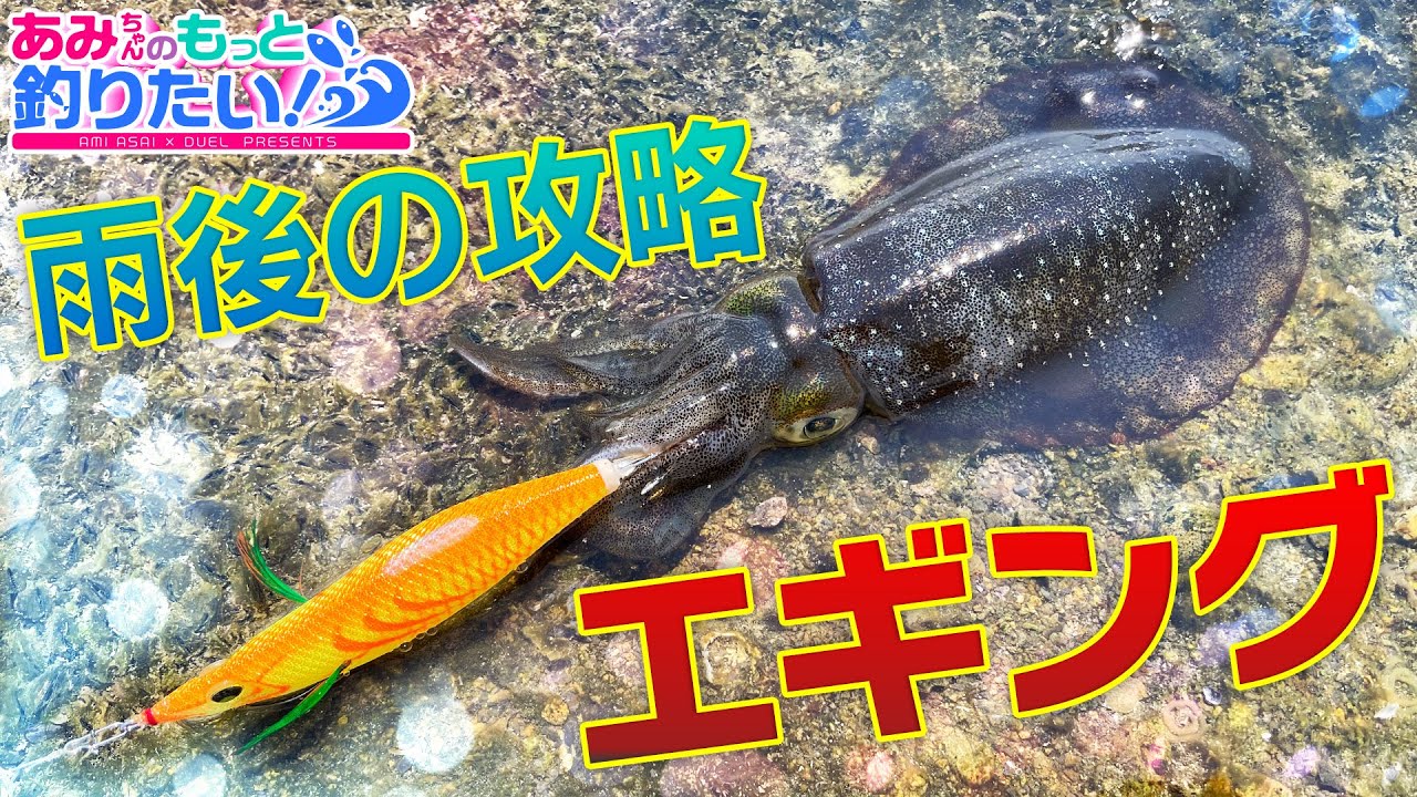 もうすぐ秋イカシーズン突入!! in 和歌山｜あみちゃんのもっと釣りたい