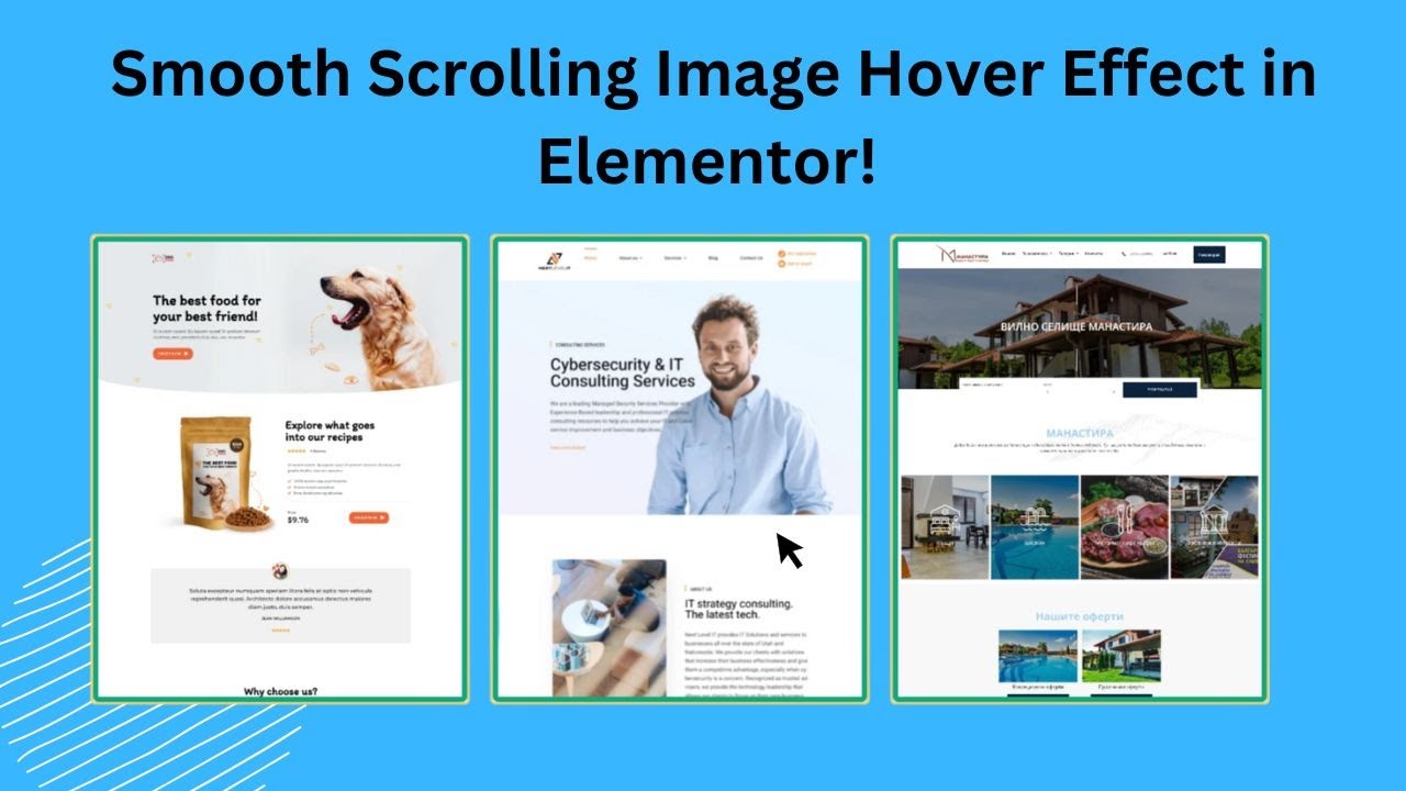 Image scrolling effect on hover with Elementor Pro | WordPress ...