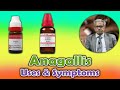 Anagallis homeopathy medicine  uses symptoms  dr p s tiwari